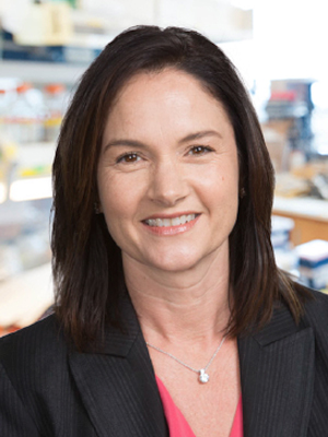 Dr. Heidi Cook-Andersen 