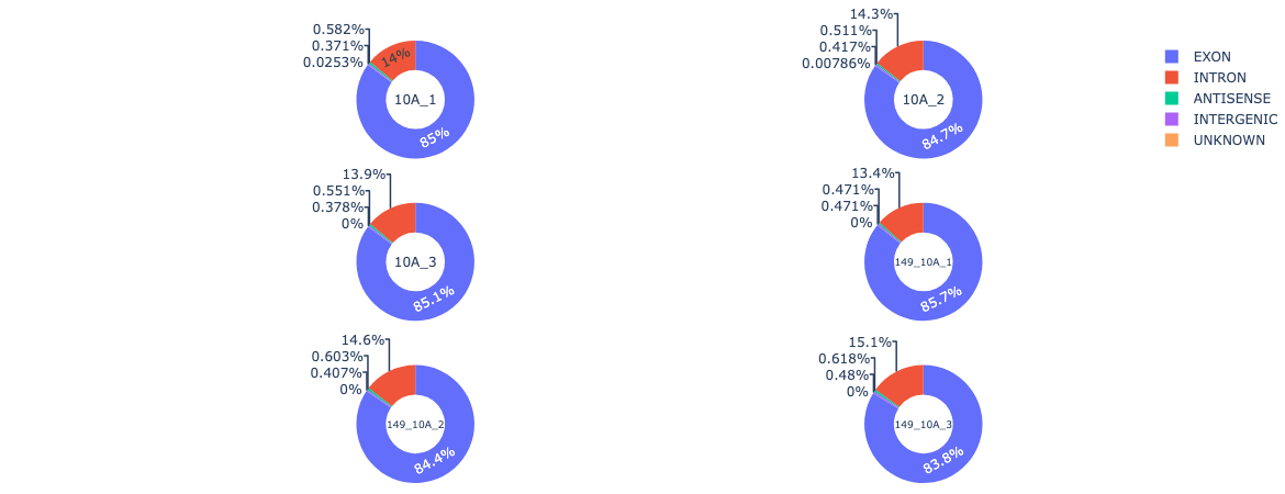 example circRNA region distribution